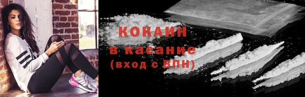 спиды Бородино
