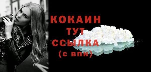 спиды Бородино