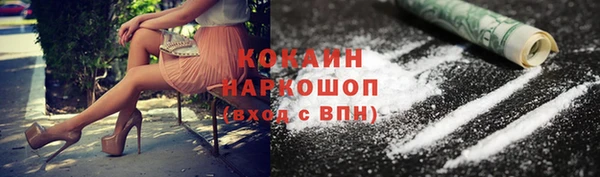 спиды Бородино